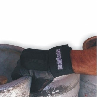 Image 3
