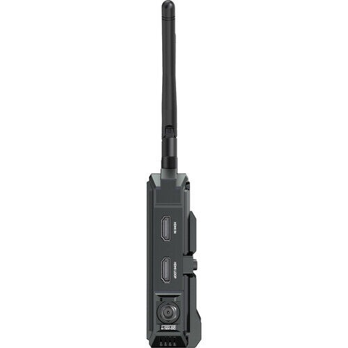 Image 4