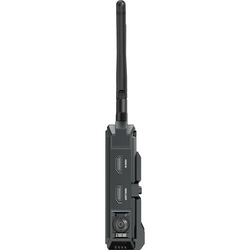 Image 4