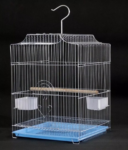 Image 7