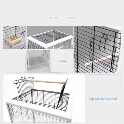 Image 5