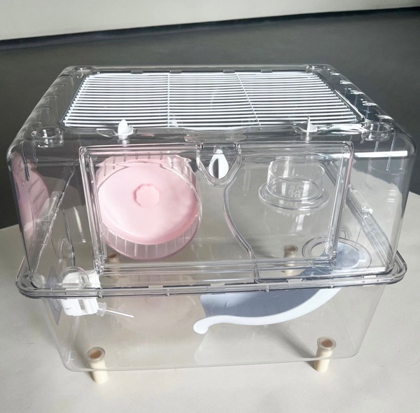 Image 2