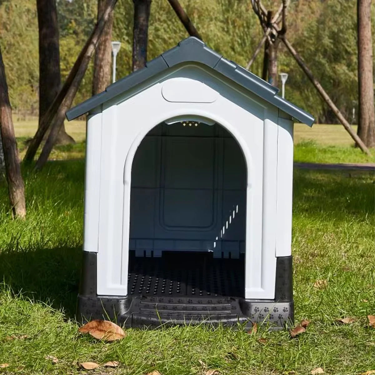 Image 4