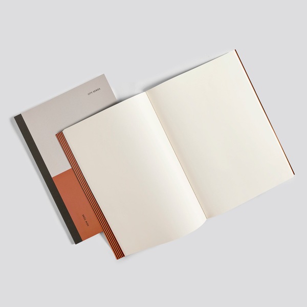 Image 12
