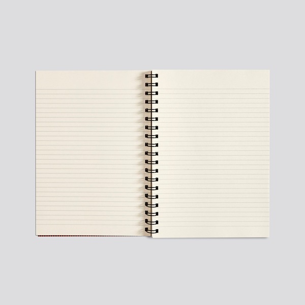 Image 6