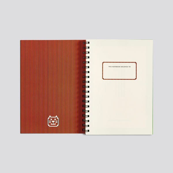 Image 8