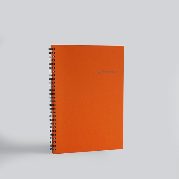 Image 8