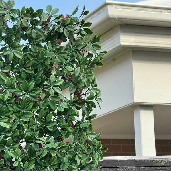 Image 4