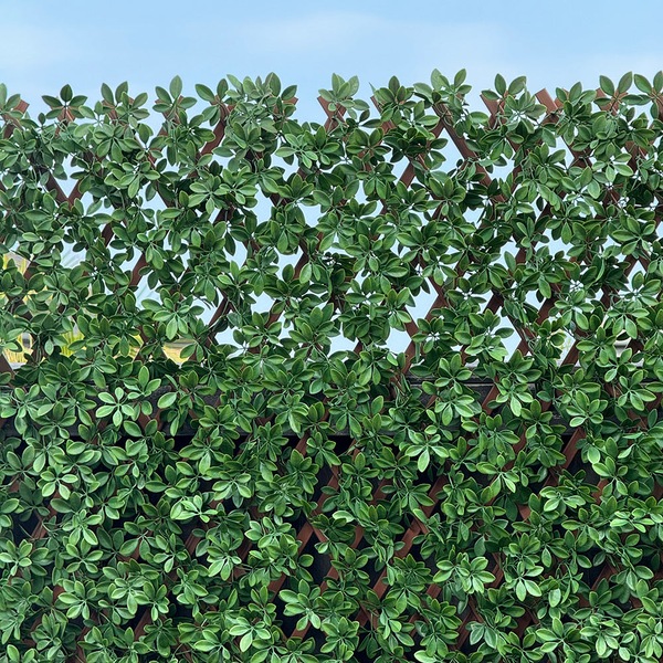 Image 14