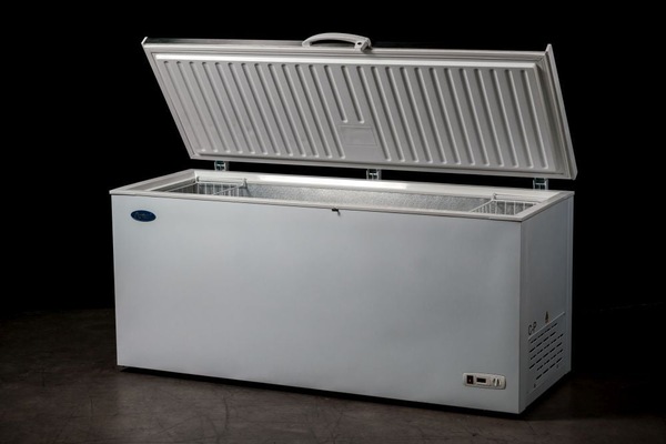 Image 4