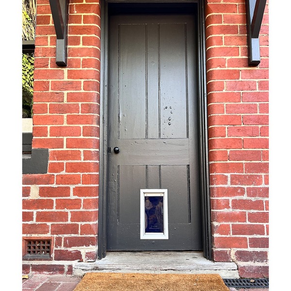 Image 7