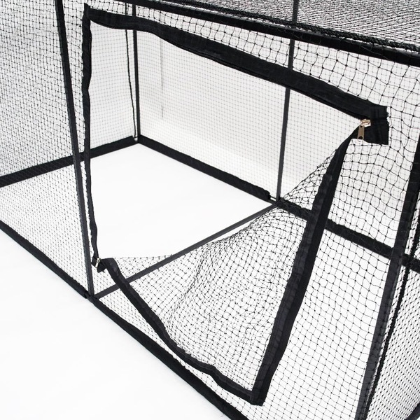 Image 6
