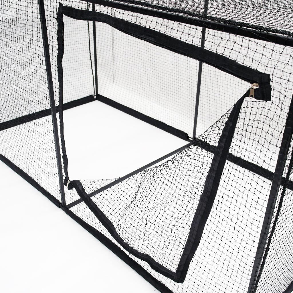 Image 4