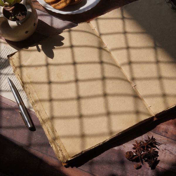 Image 4