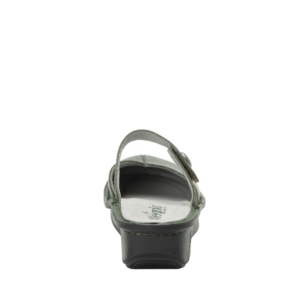 Image 7