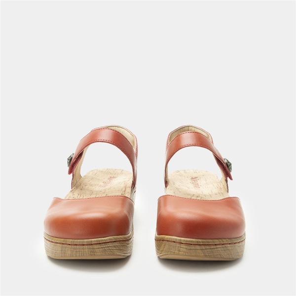 Image 8