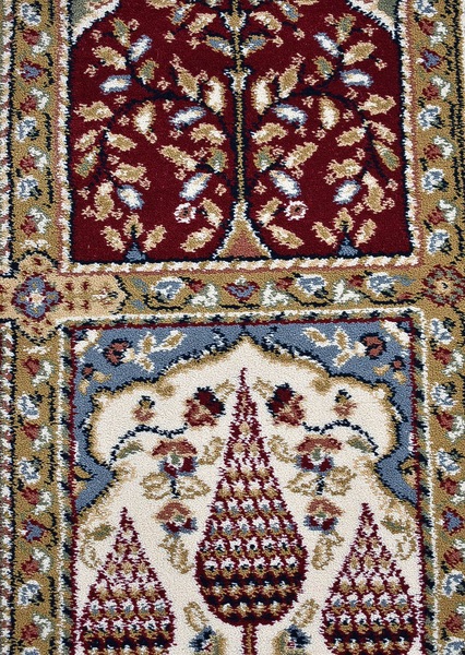 Image 6