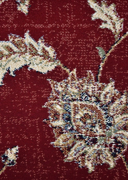 Image 6