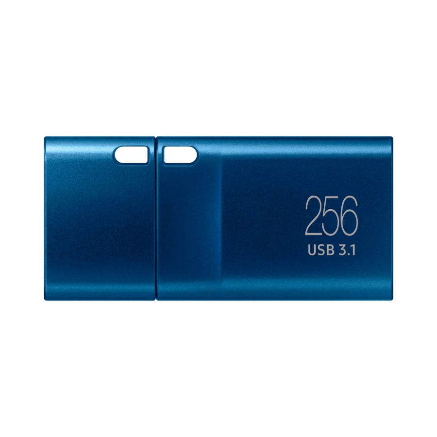 Samsung USB Flash Drive Type-C™ 256GB (Cerulean Blue 256 GB)