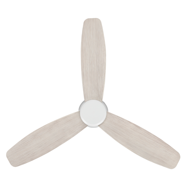 Image 15