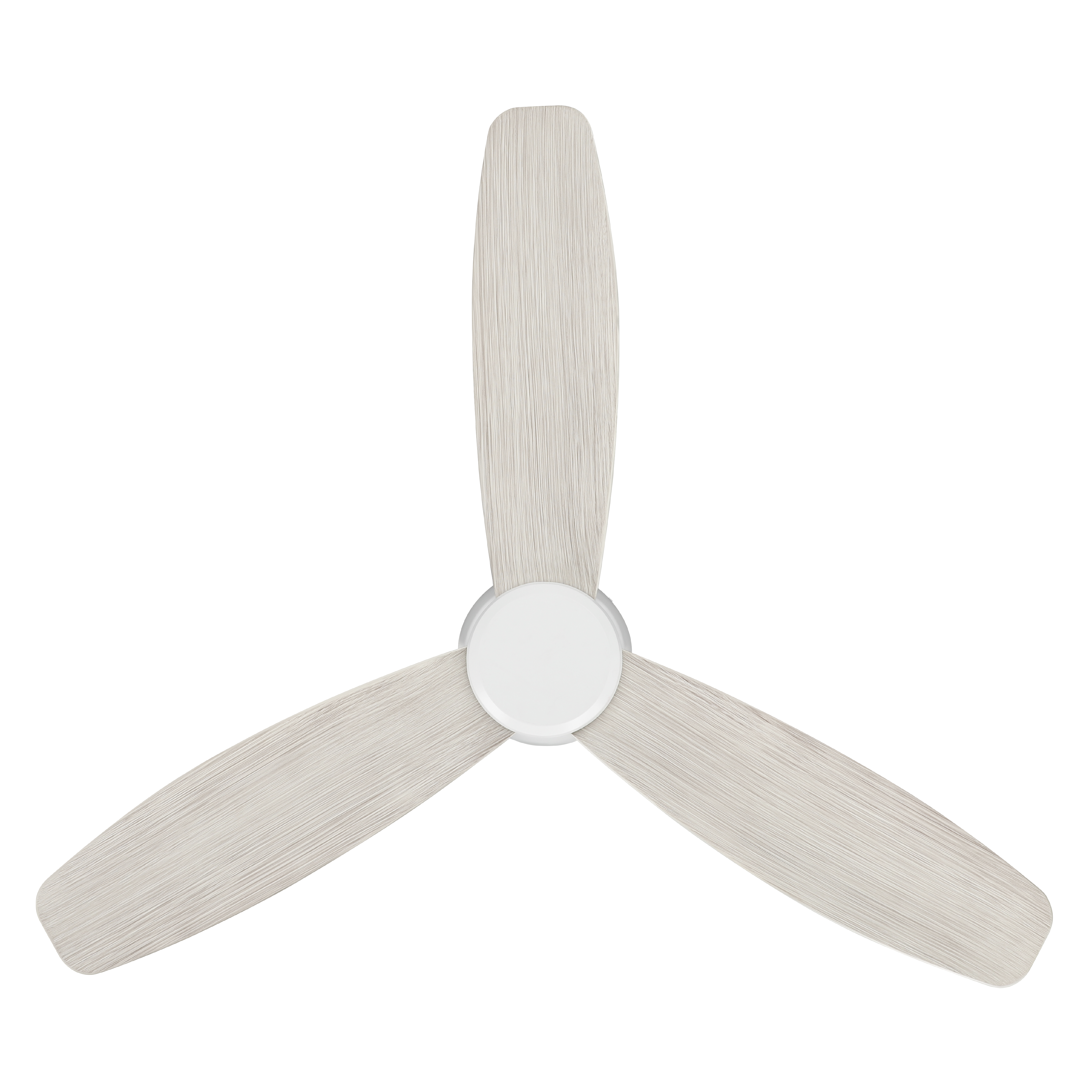 Image 15
