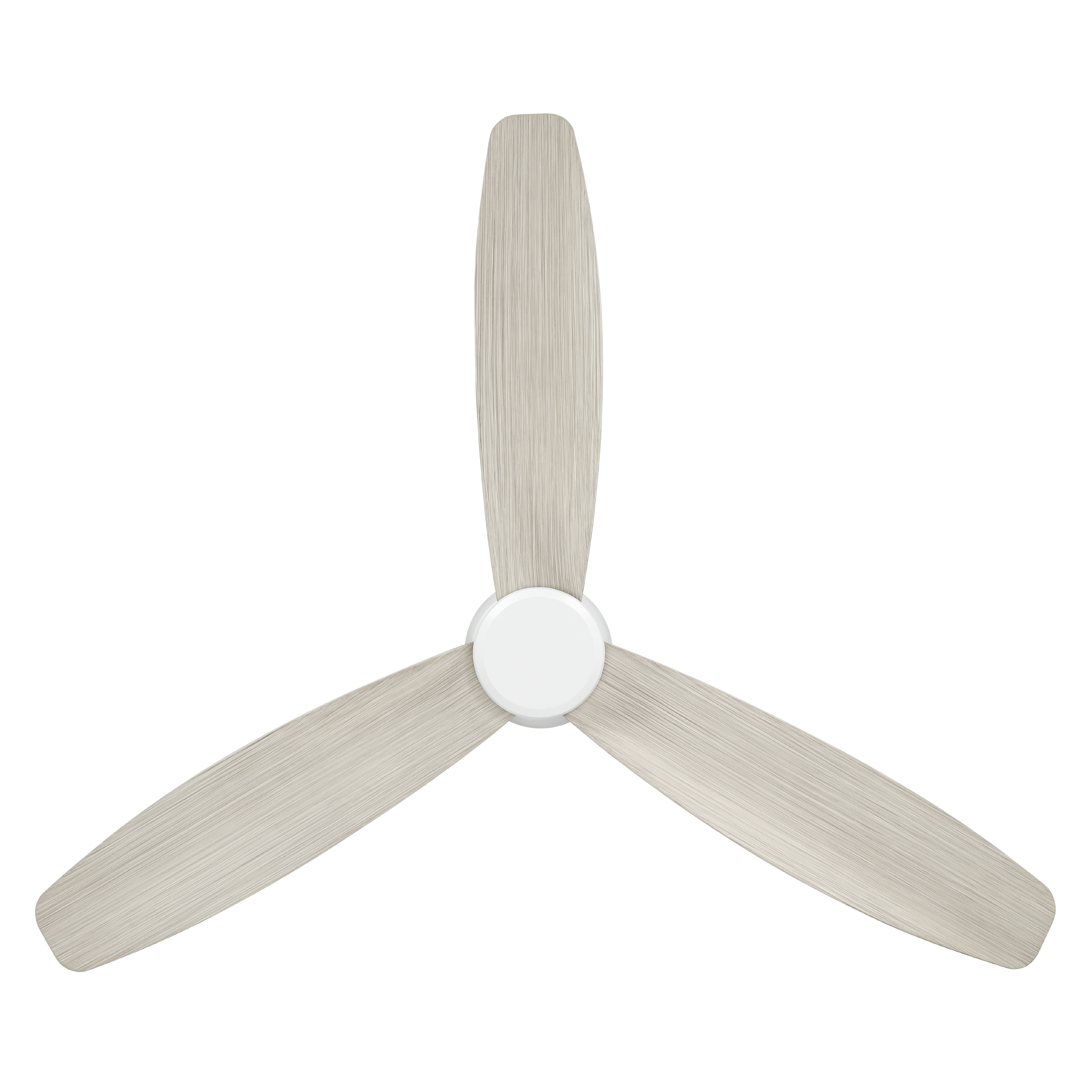 Image 15