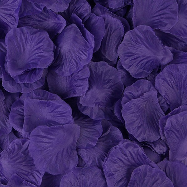 Image 13