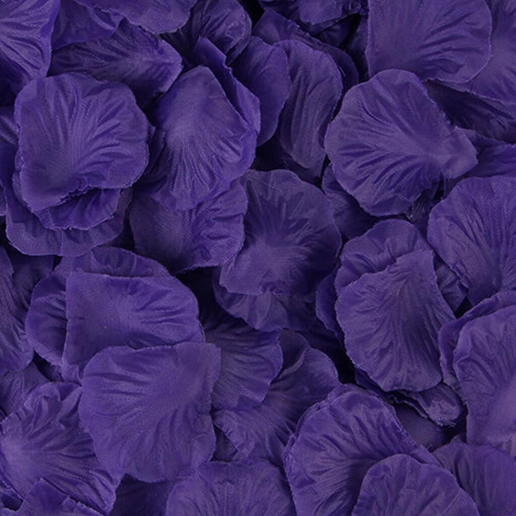Image 13
