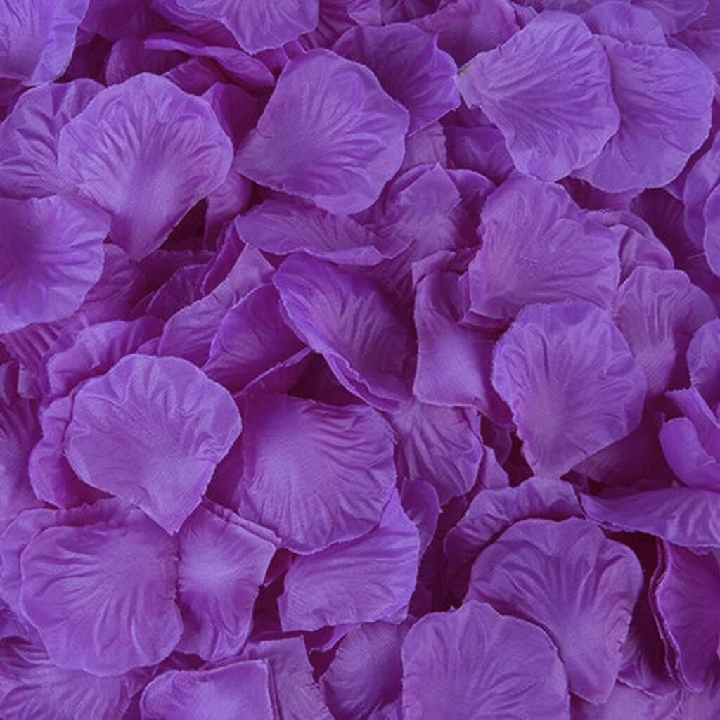 Image 19
