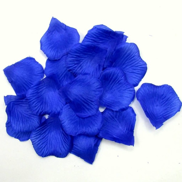 Image 22