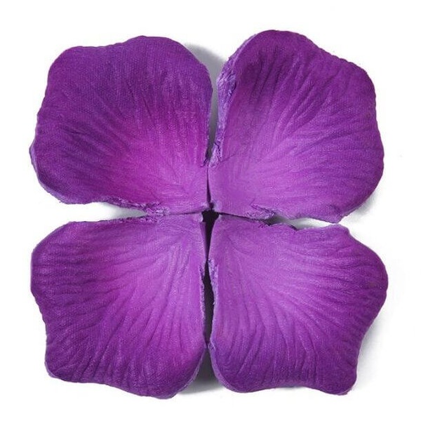 Image 28