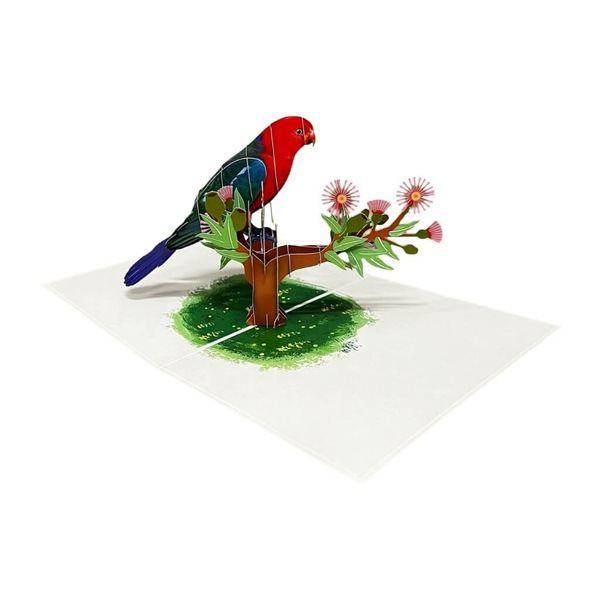 Image 4