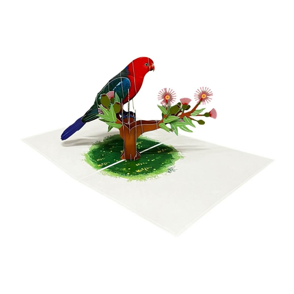 Image 4