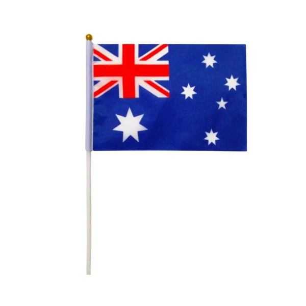 Image 4