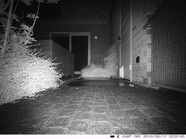 Image 6