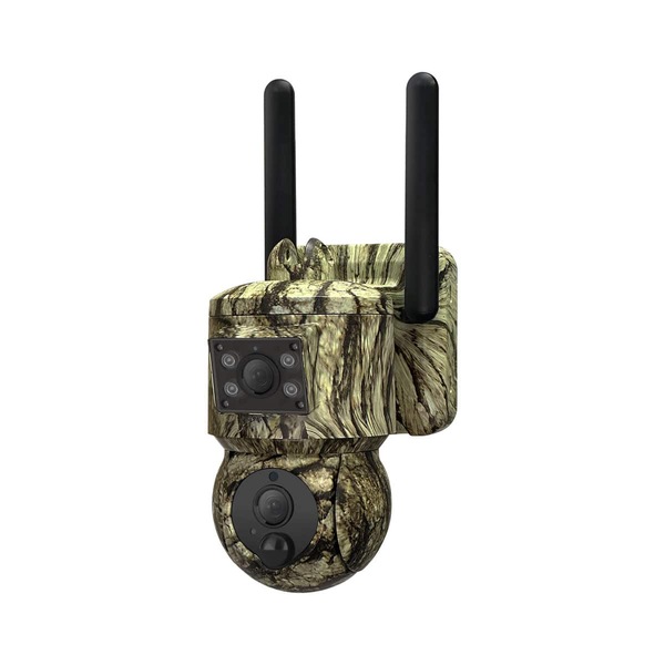 Image 3