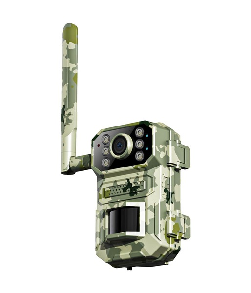 Image 2