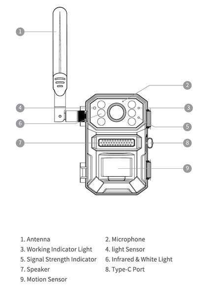 Image 11