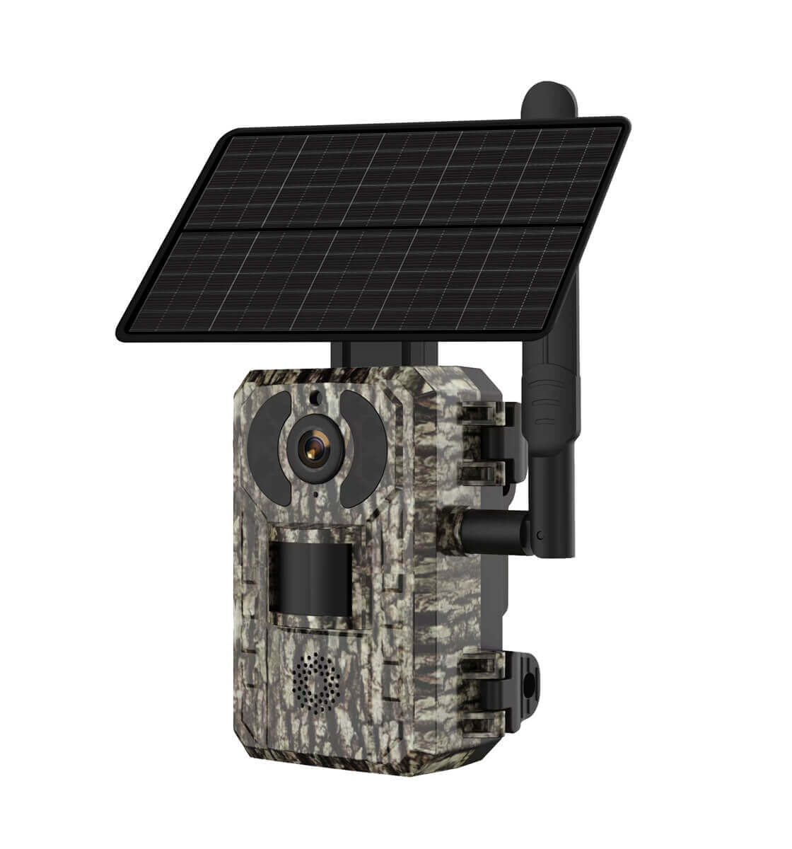 Image 2