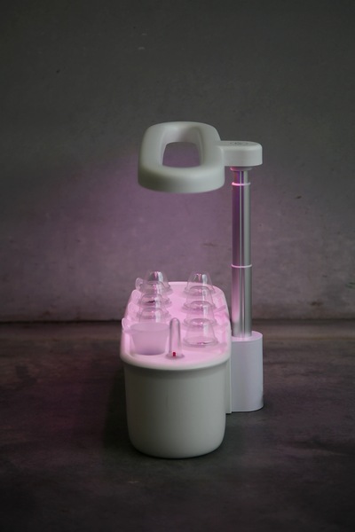 Image 5