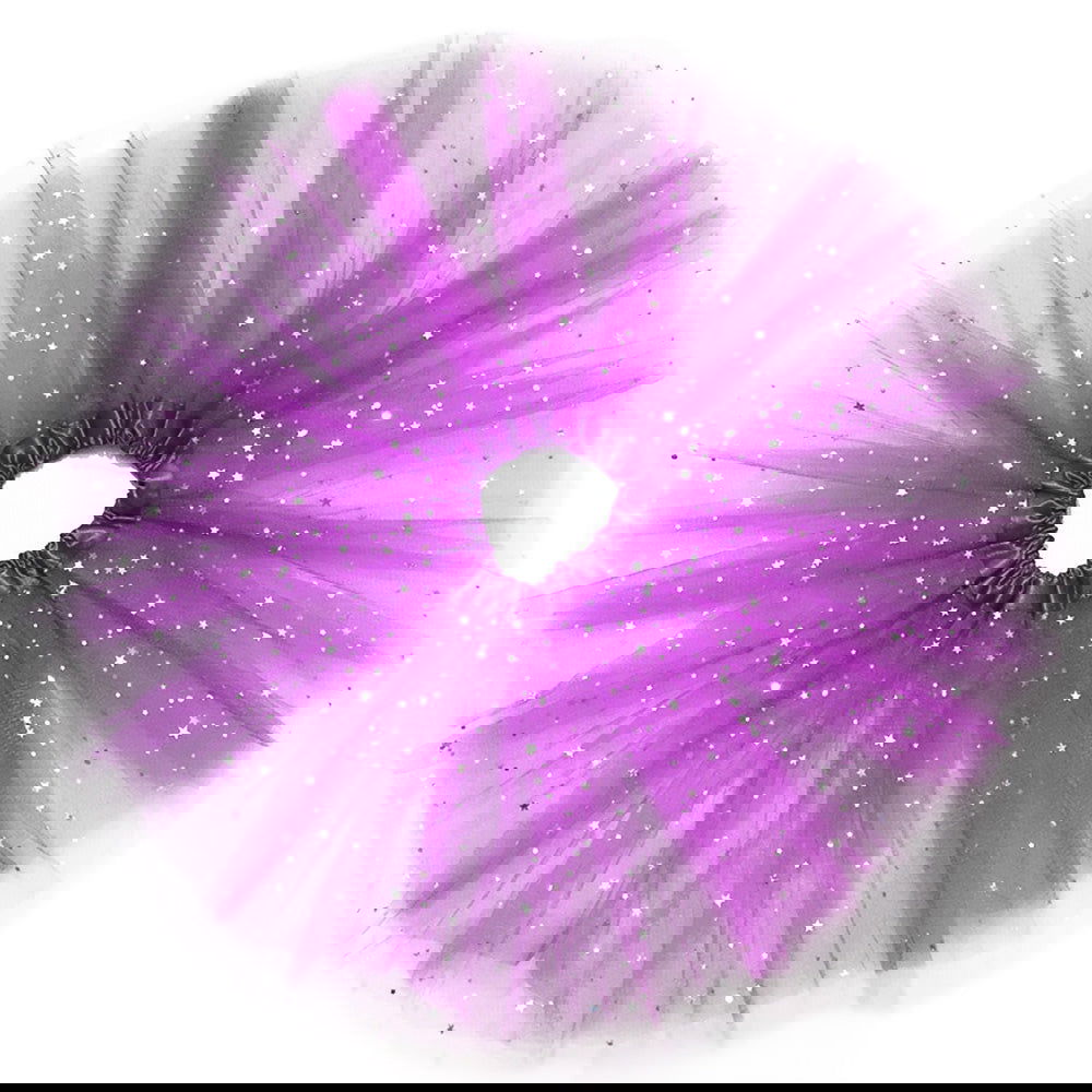 Image 28
