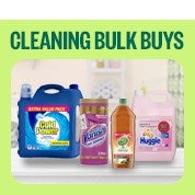 Household Cleaning Essentials