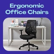 ErgoDuke Mesh Office Chairs