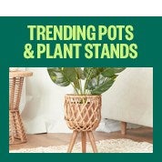Trending Pots & Plant Stands