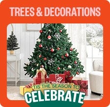 Trees & Decorations