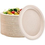 Disposable Plates 