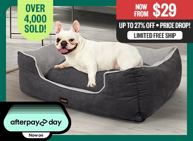 Now From $29 - Up to 27% Off - Price Drop! - Over 4,000 Sold - Limited Free Ship o $29 LIMITED FREE SHP 