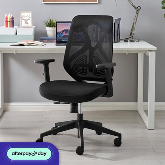 ErgoDuke Deluxe Low Back Mesh Ergonomic Office Chair