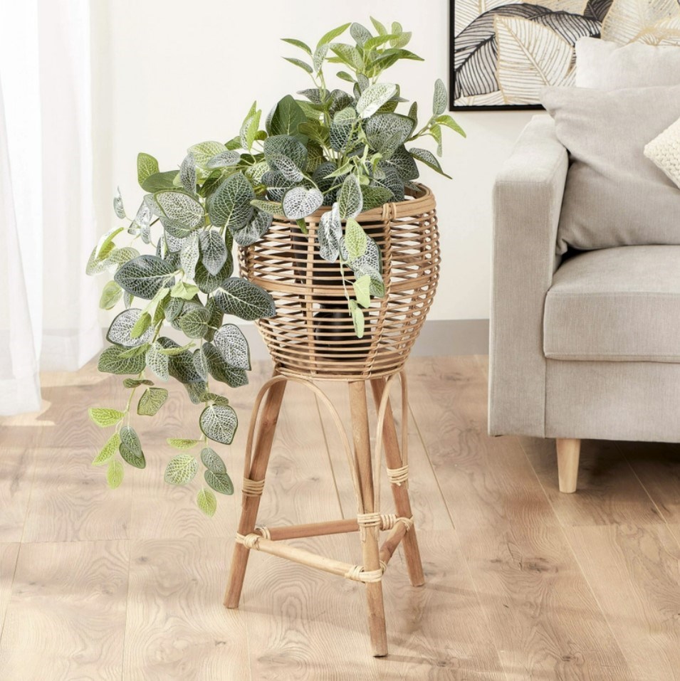 rattan plant decor