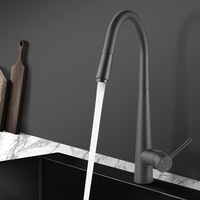 ACA Gunmetal Grey Round Pull Out Kitchen Sink Mixer Tap 360 degree swivel Solid Brass